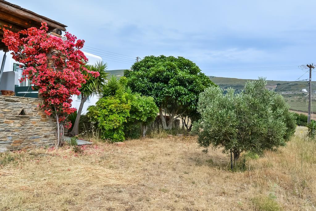 Villa Pergola Andros Gavrio Exteriér fotografie