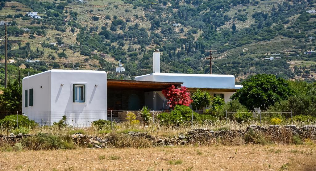 Villa Pergola Andros Gavrio Exteriér fotografie