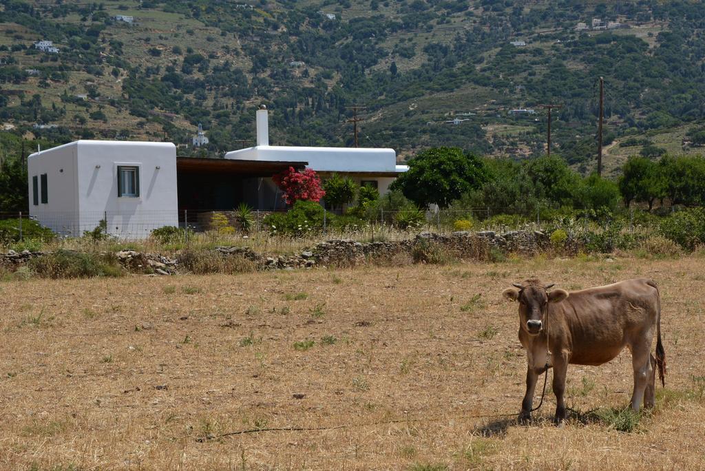 Villa Pergola Andros Gavrio Exteriér fotografie