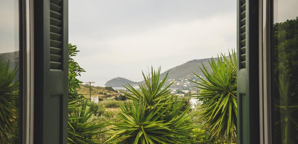 Villa Pergola Andros Gavrio Exteriér fotografie